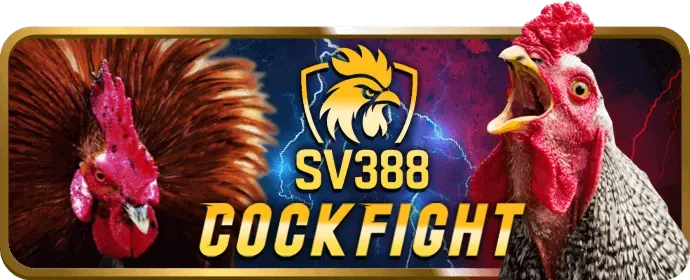 Ưu đãi dành cho VIP và thành viên thân thiết